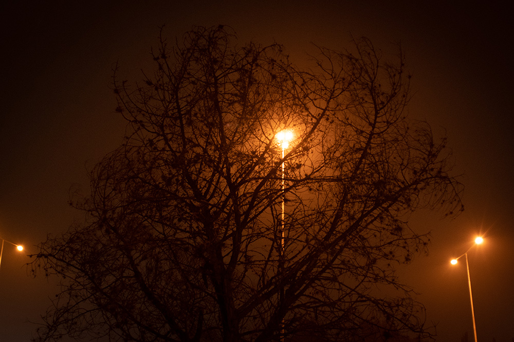 Blog
